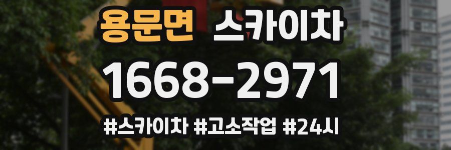 용문면 스카이차