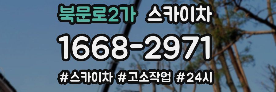 북문로2가 스카이차