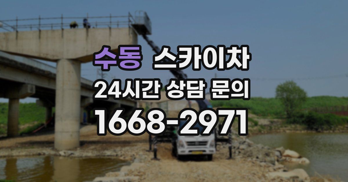 수동 스카이차