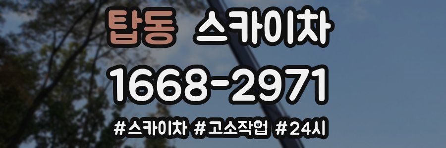 탑동 스카이차