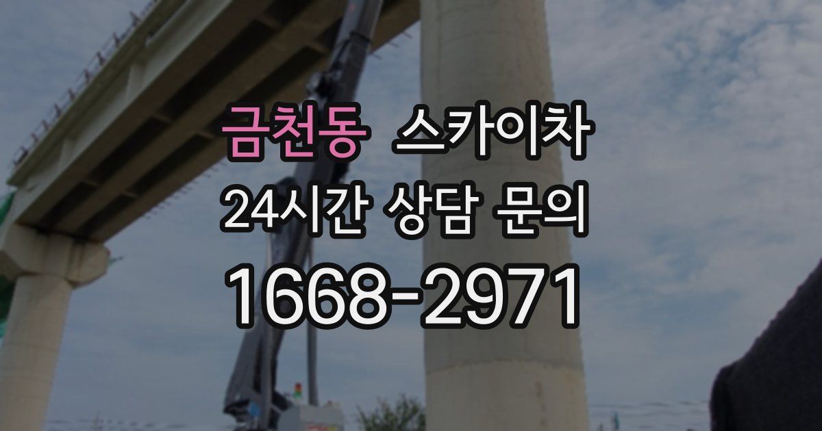 금천동 스카이차