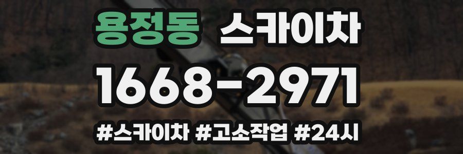 용정동 스카이차