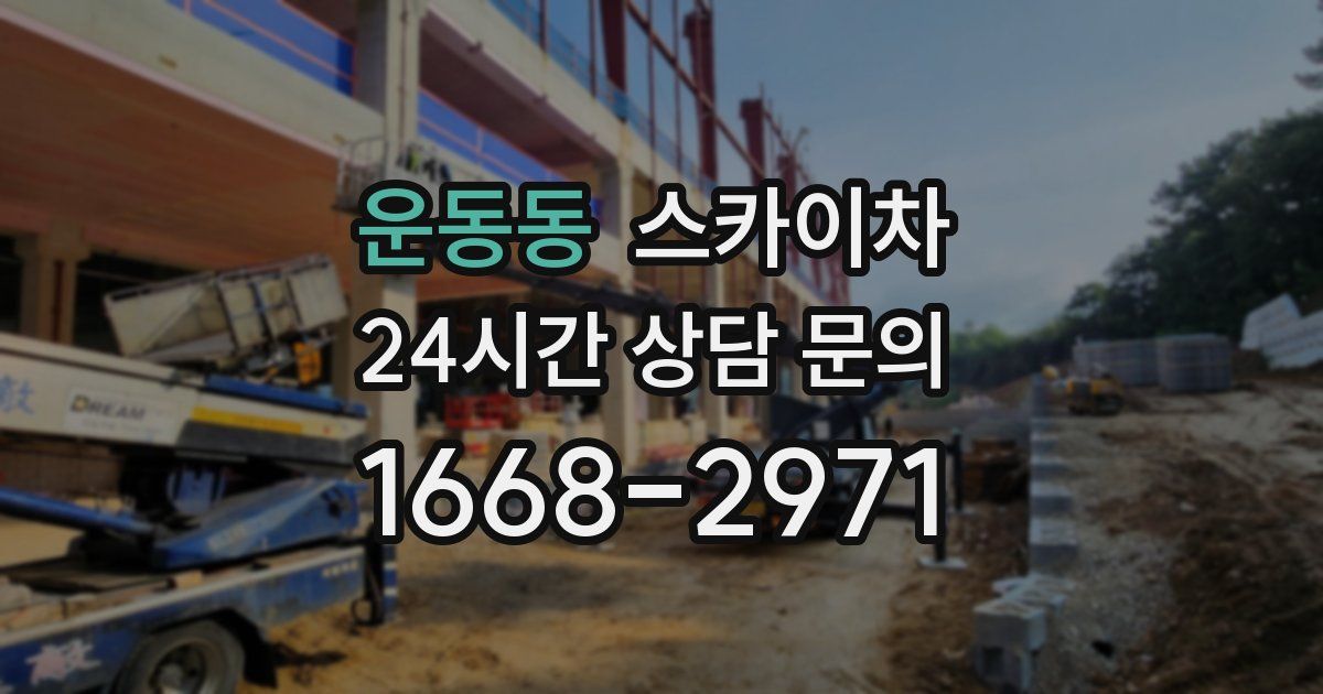 운동동 스카이차
