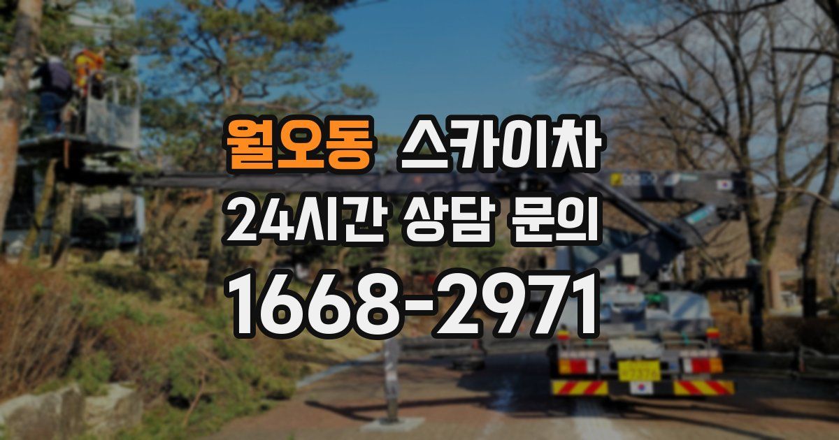 월오동 스카이차