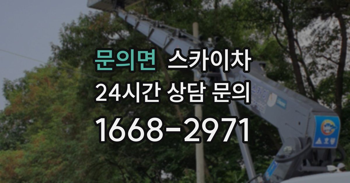 문의면 스카이차