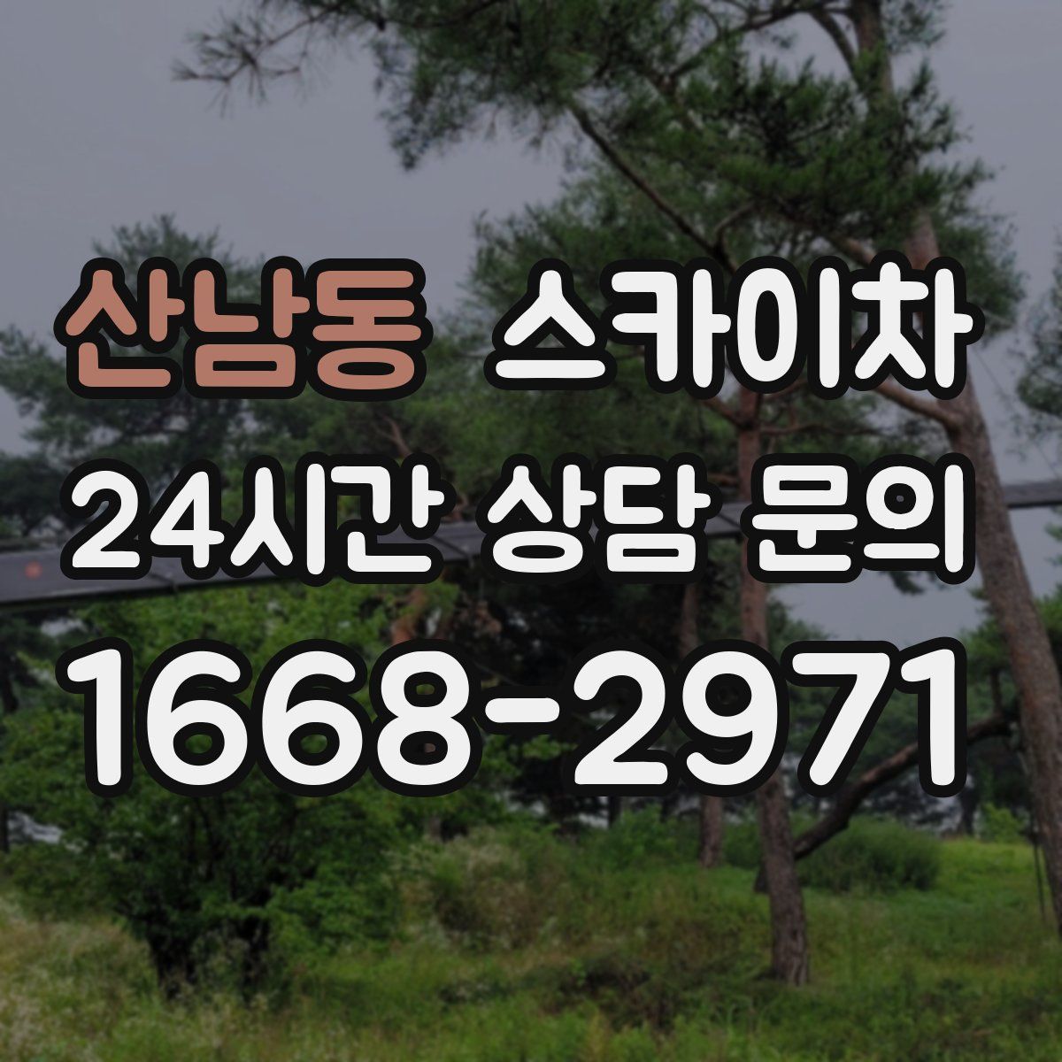 산남동 스카이차