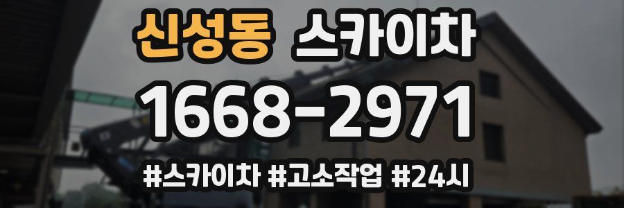 신성동 스카이차