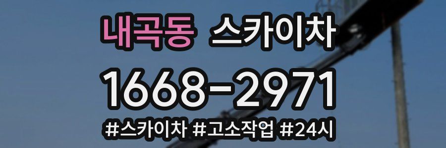 내곡동 스카이차