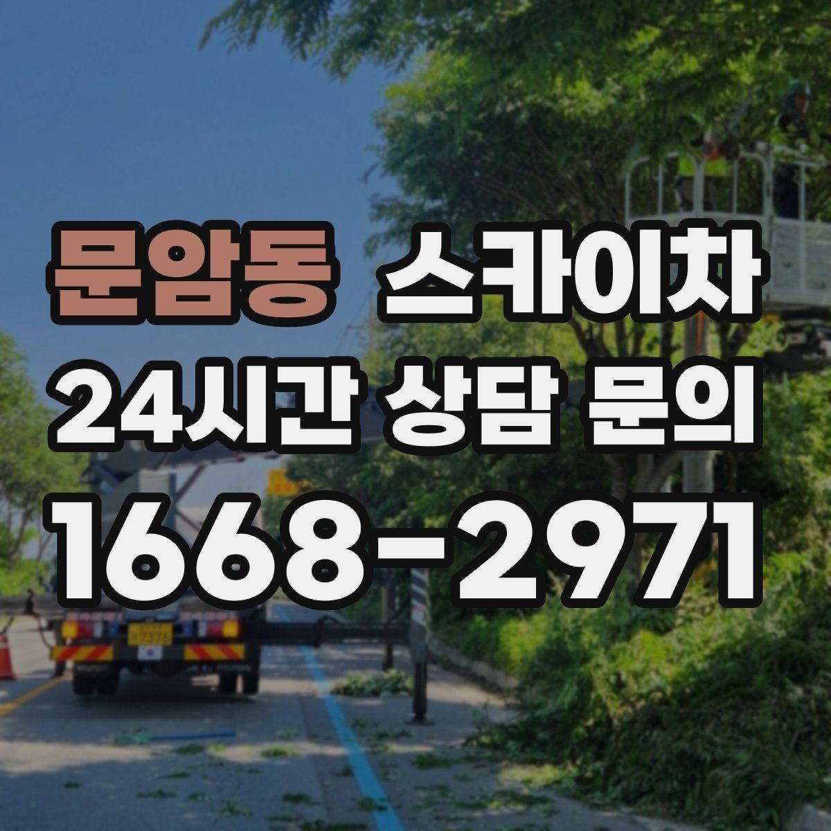 문암동 스카이차 고소 작업을 더 안전하게 만드는 진행 방식
