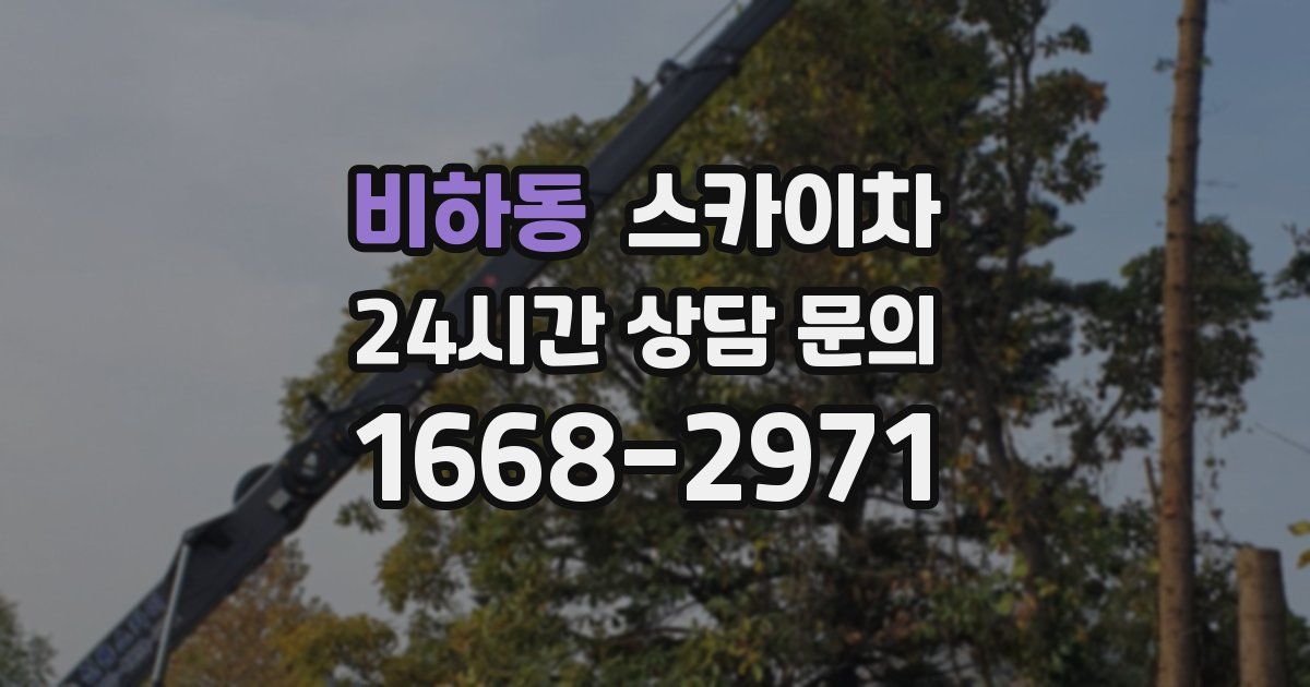 비하동 스카이차