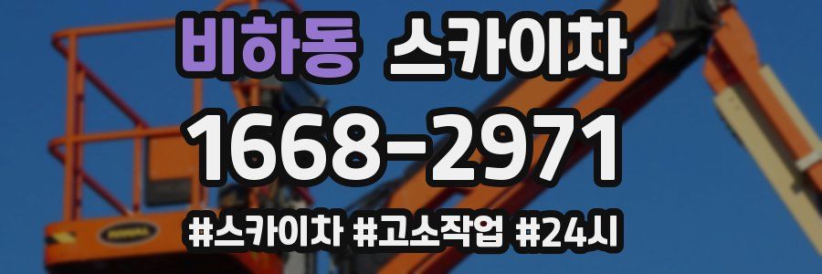 비하동 스카이차