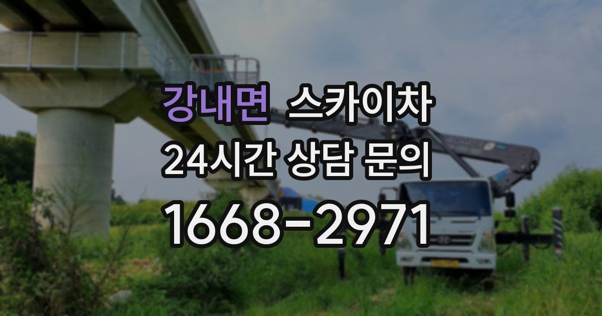 강내면 스카이차