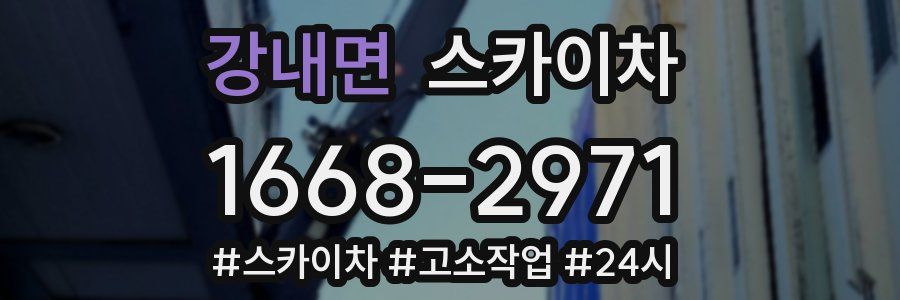 강내면 스카이차