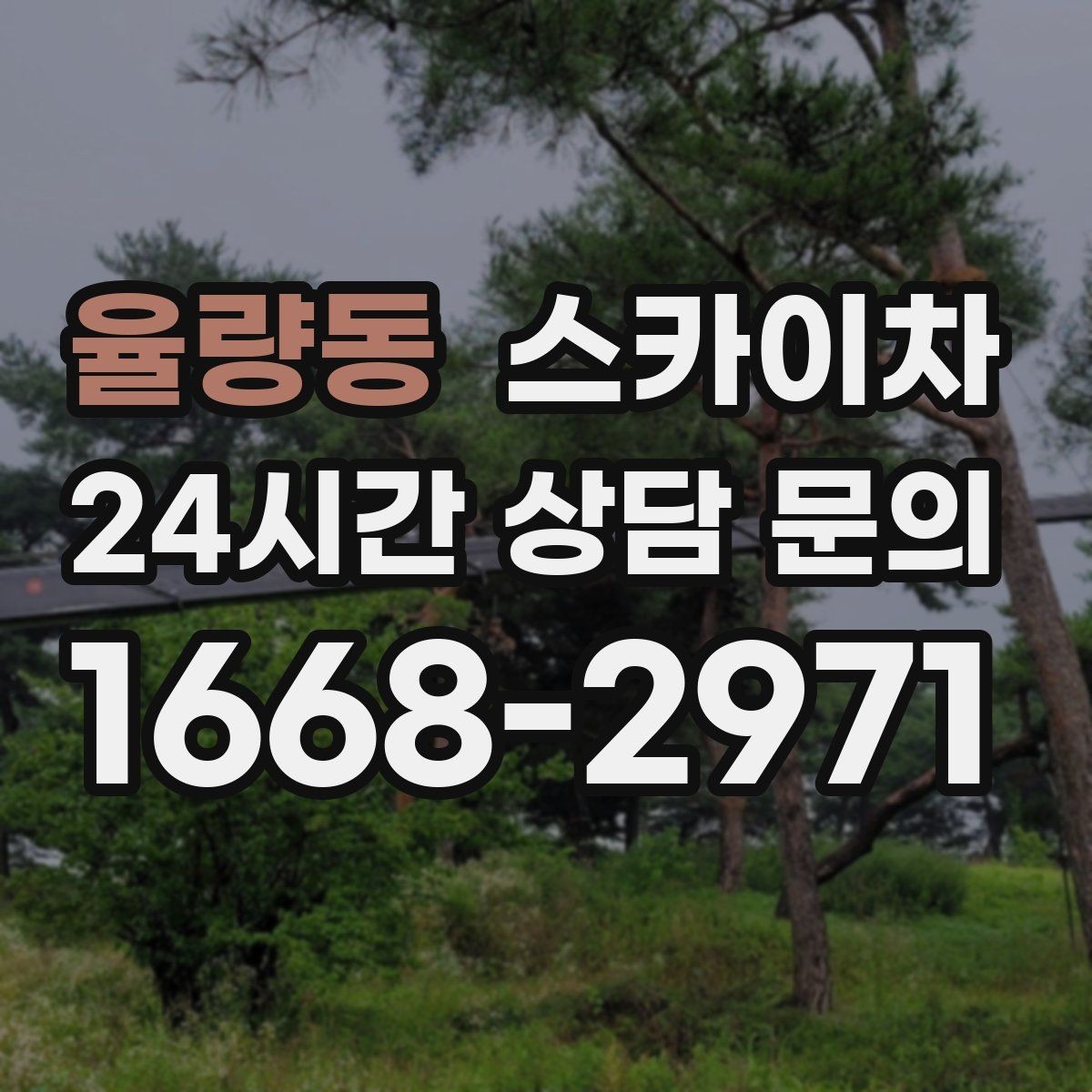 율량동 스카이차 고소 작업을 더 안전하게 만드는 진행 방식
