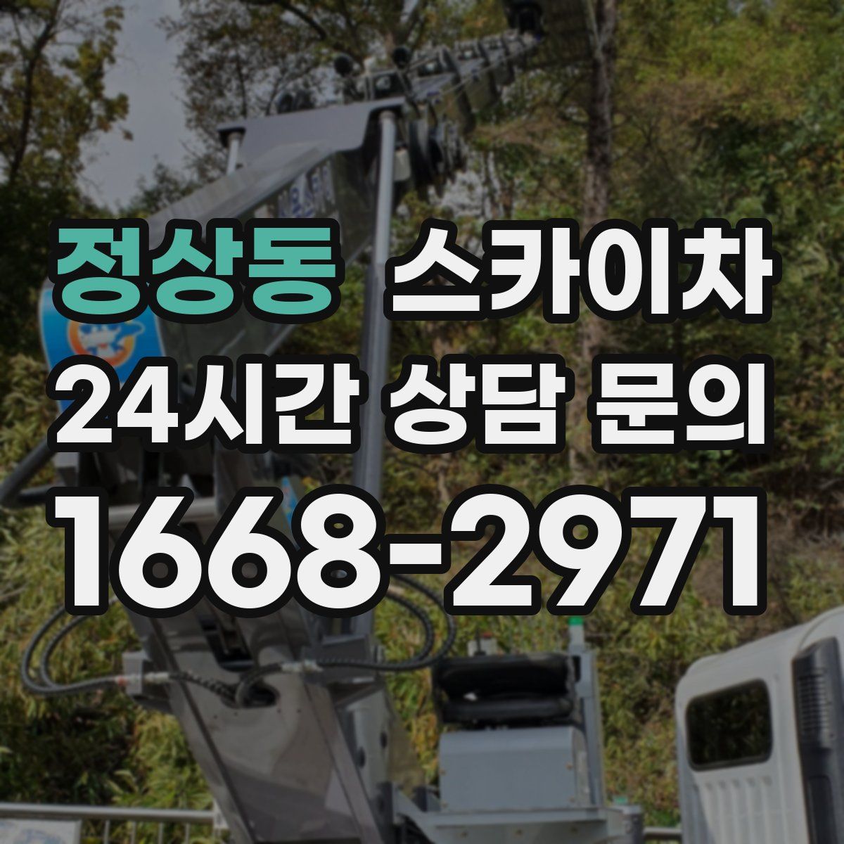 정상동 스카이차