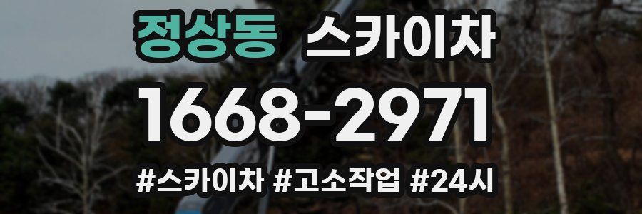 정상동 스카이차