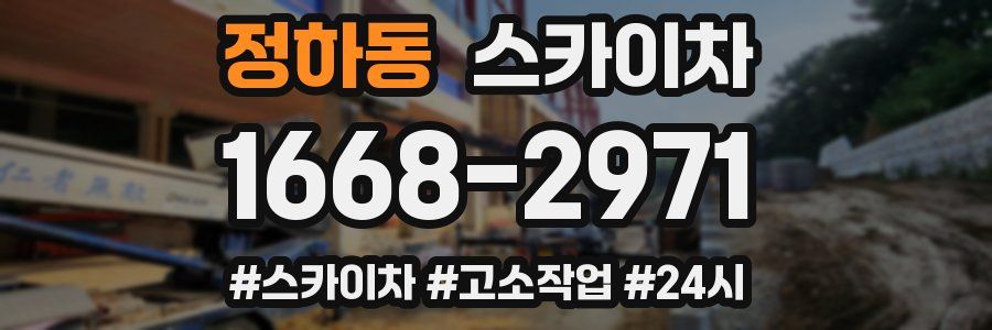 정하동 스카이차