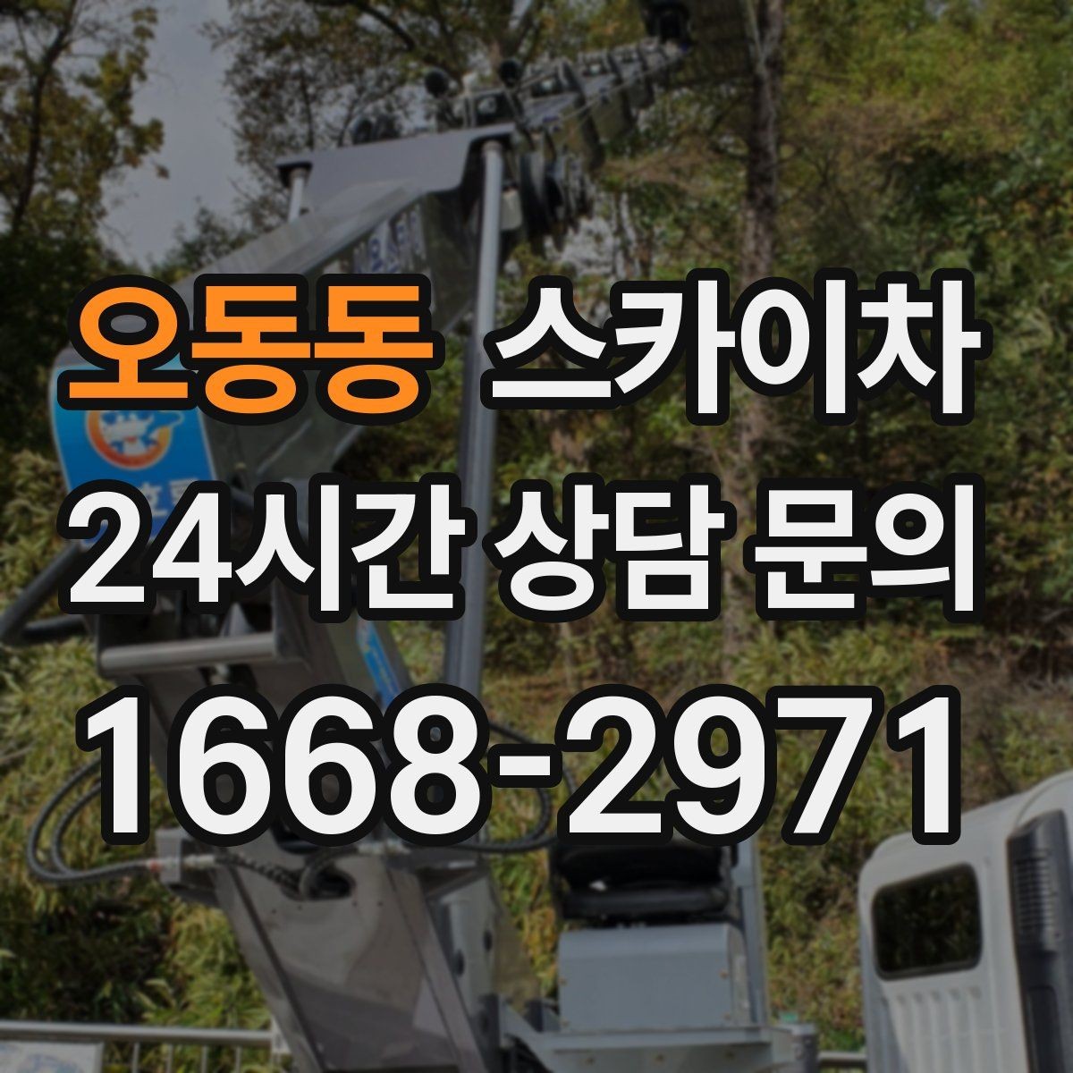 오동동 스카이차 고소 작업은 왜 장비 선택이 중요할까