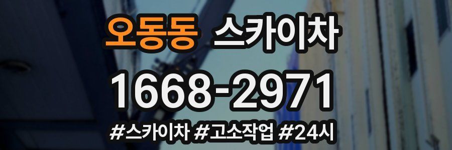 오동동 스카이차