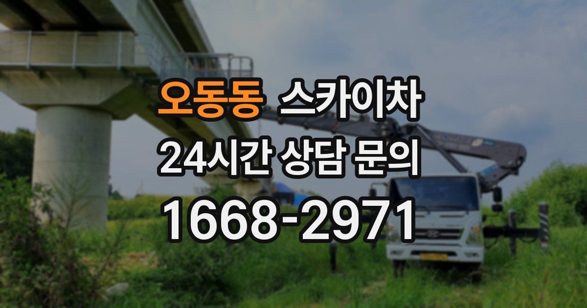 오동동 스카이차