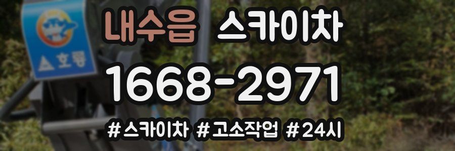 내수읍 스카이차