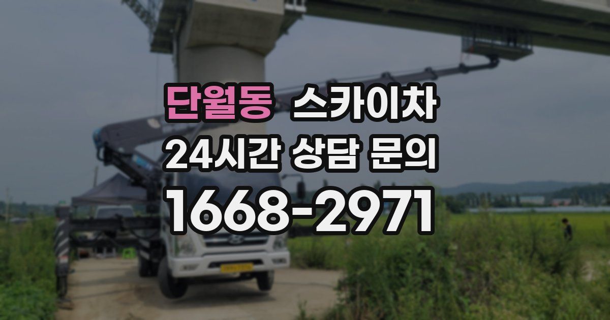 단월동 스카이차