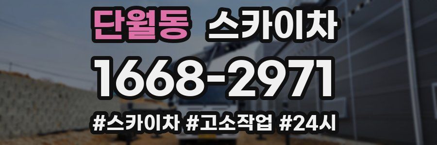 단월동 스카이차