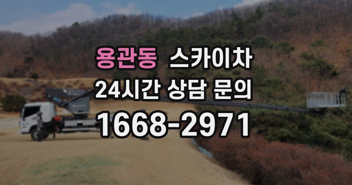 용관동 스카이차