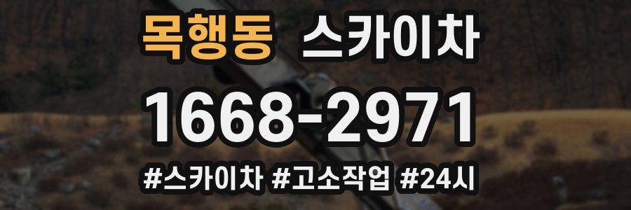 목행동 스카이차
