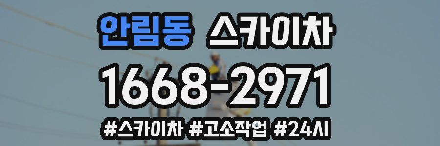 안림동 스카이차