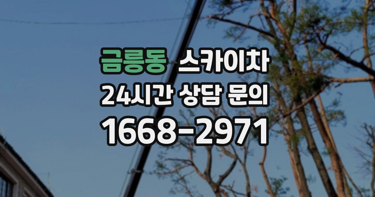 금릉동 스카이차