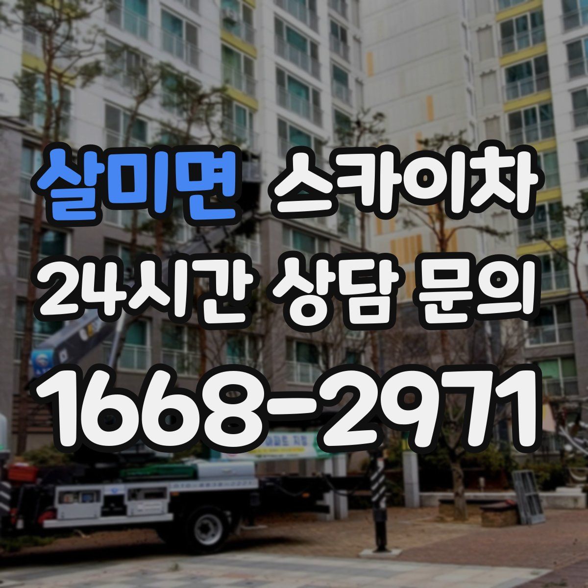 살미면 스카이차
