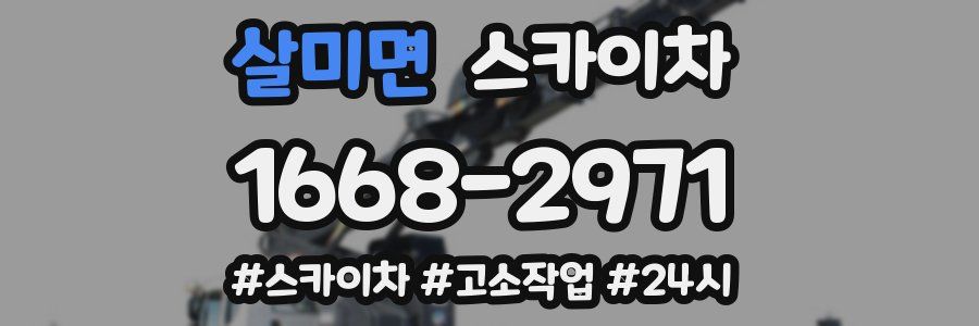 살미면 스카이차