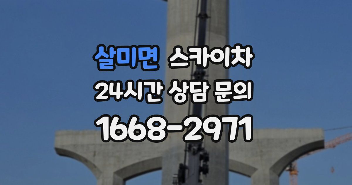 살미면 스카이차