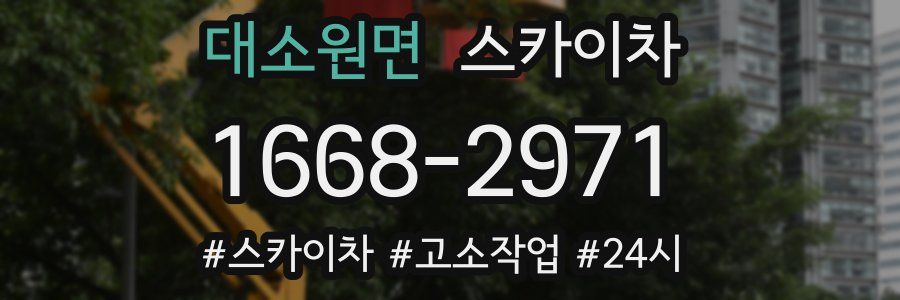 대소원면 스카이차