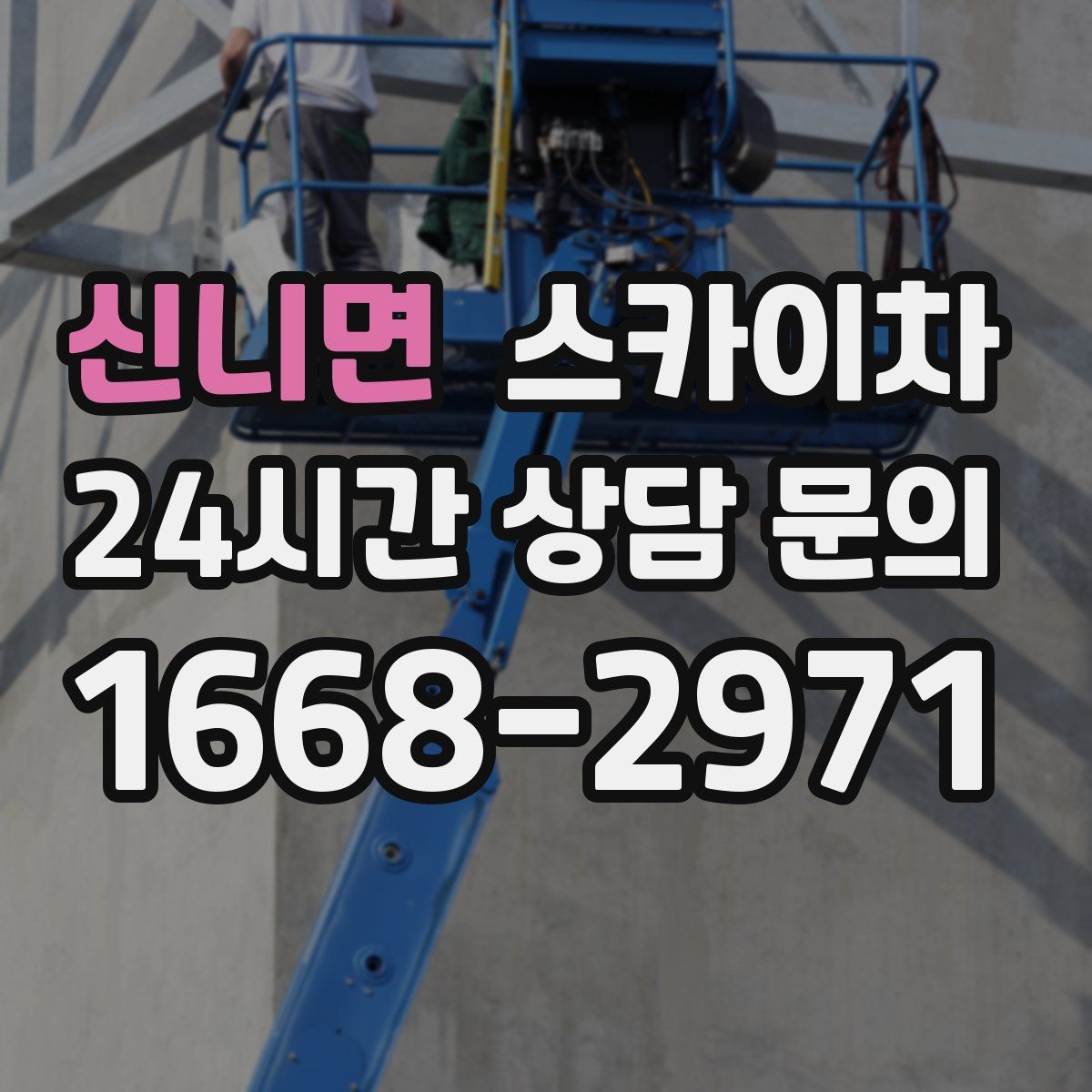신니면 스카이차