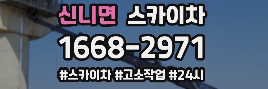 신니면 스카이차