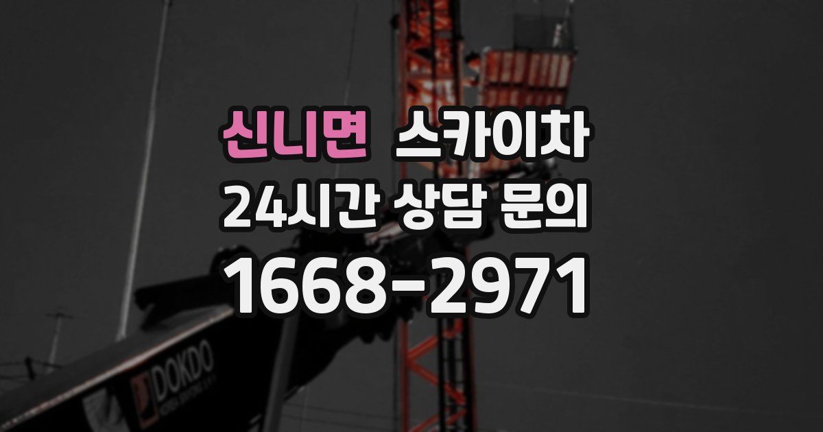 신니면 스카이차