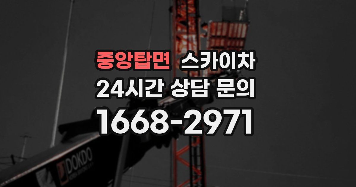 중앙탑면 스카이차