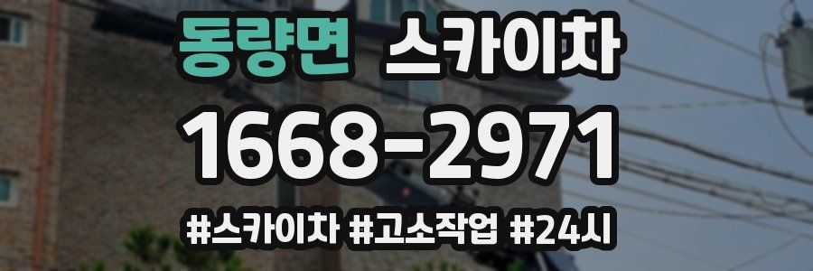 동량면 스카이차