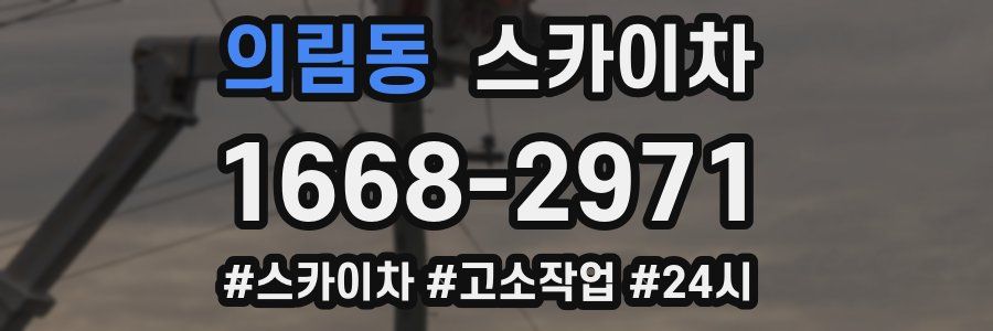 의림동 스카이차