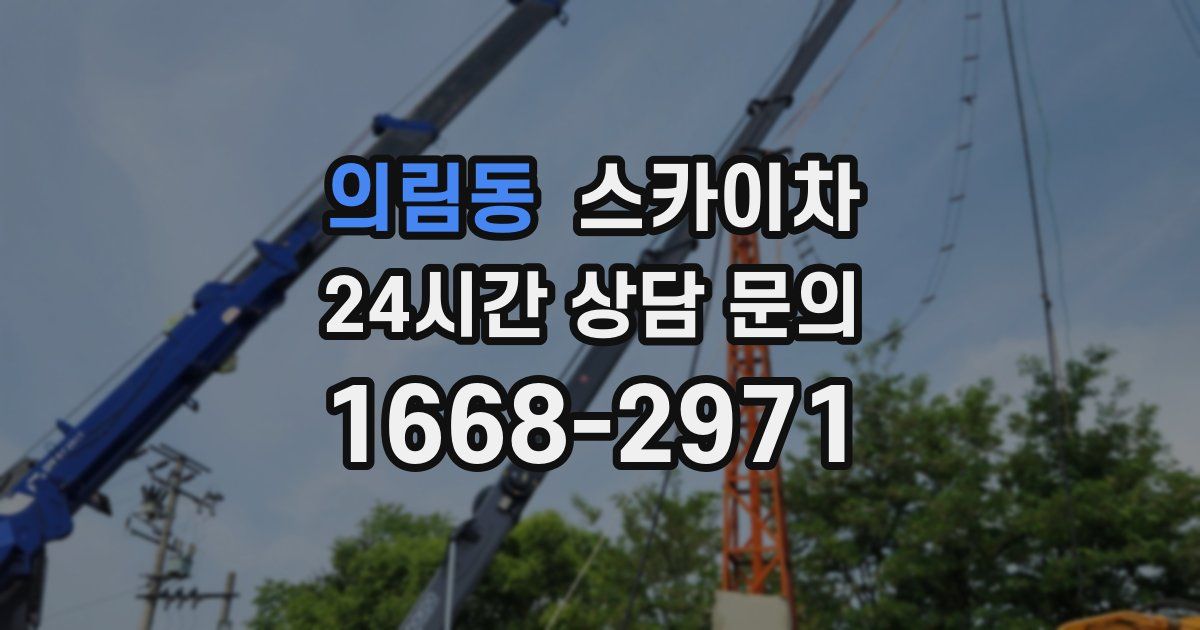 의림동 스카이차