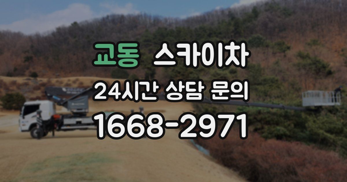 교동 스카이차