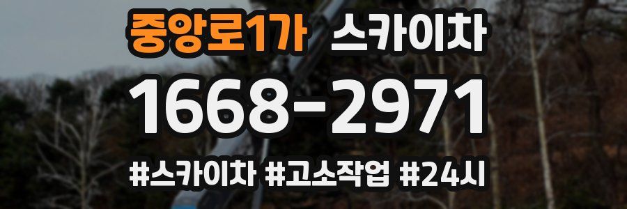중앙로1가 스카이차