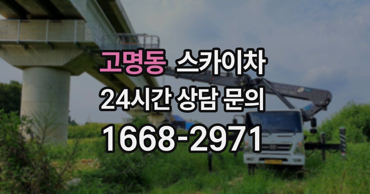 고명동 스카이차