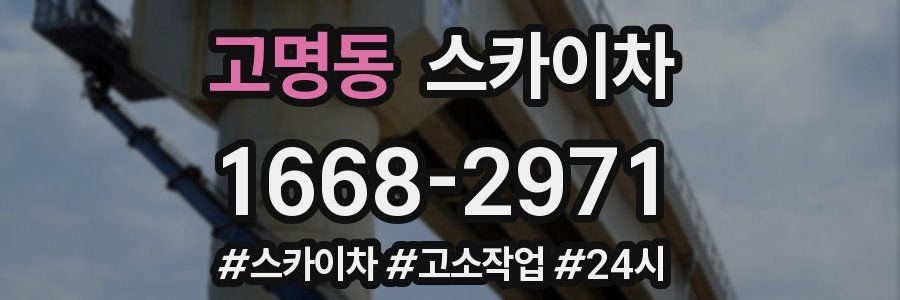 고명동 스카이차