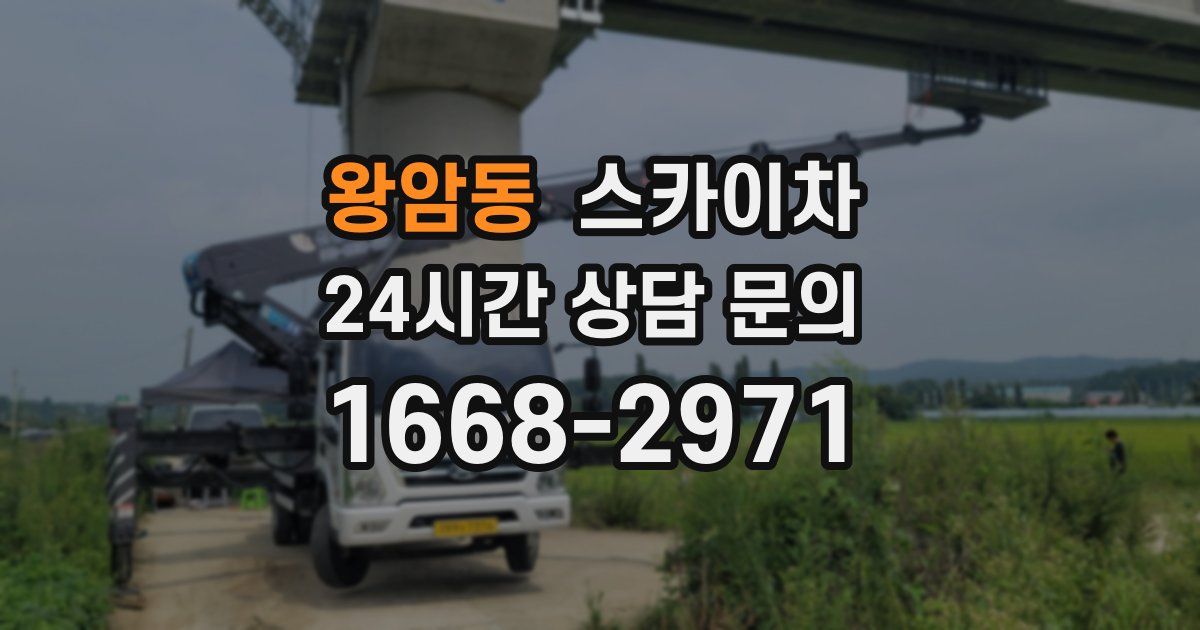 왕암동 스카이차