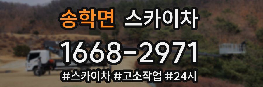 송학면 스카이차