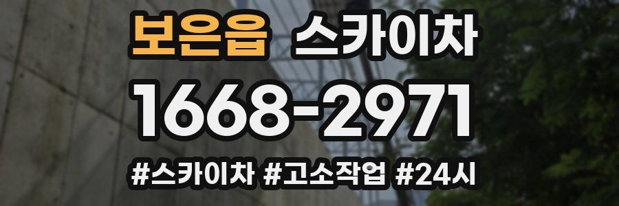 보은읍 스카이차