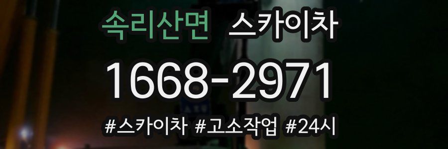 속리산면 스카이차
